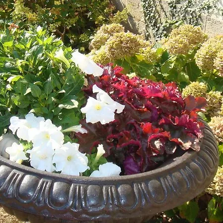 D'hotes Le Clos Des 3 Rois