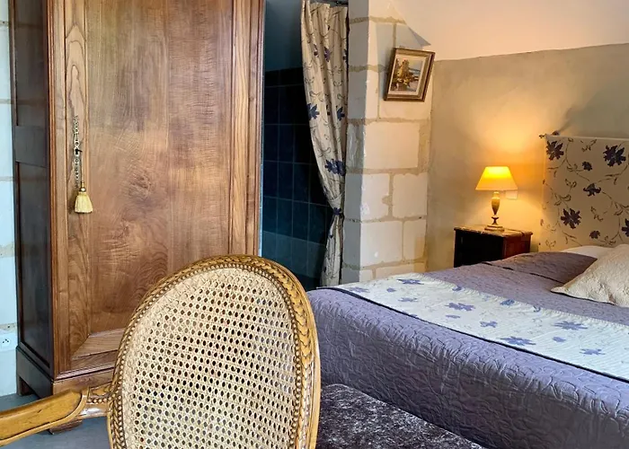 D'hotes Le Clos Des 3 Rois 3* Thouarcé