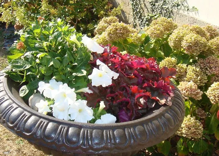 D'hotes Le Clos Des 3 Rois